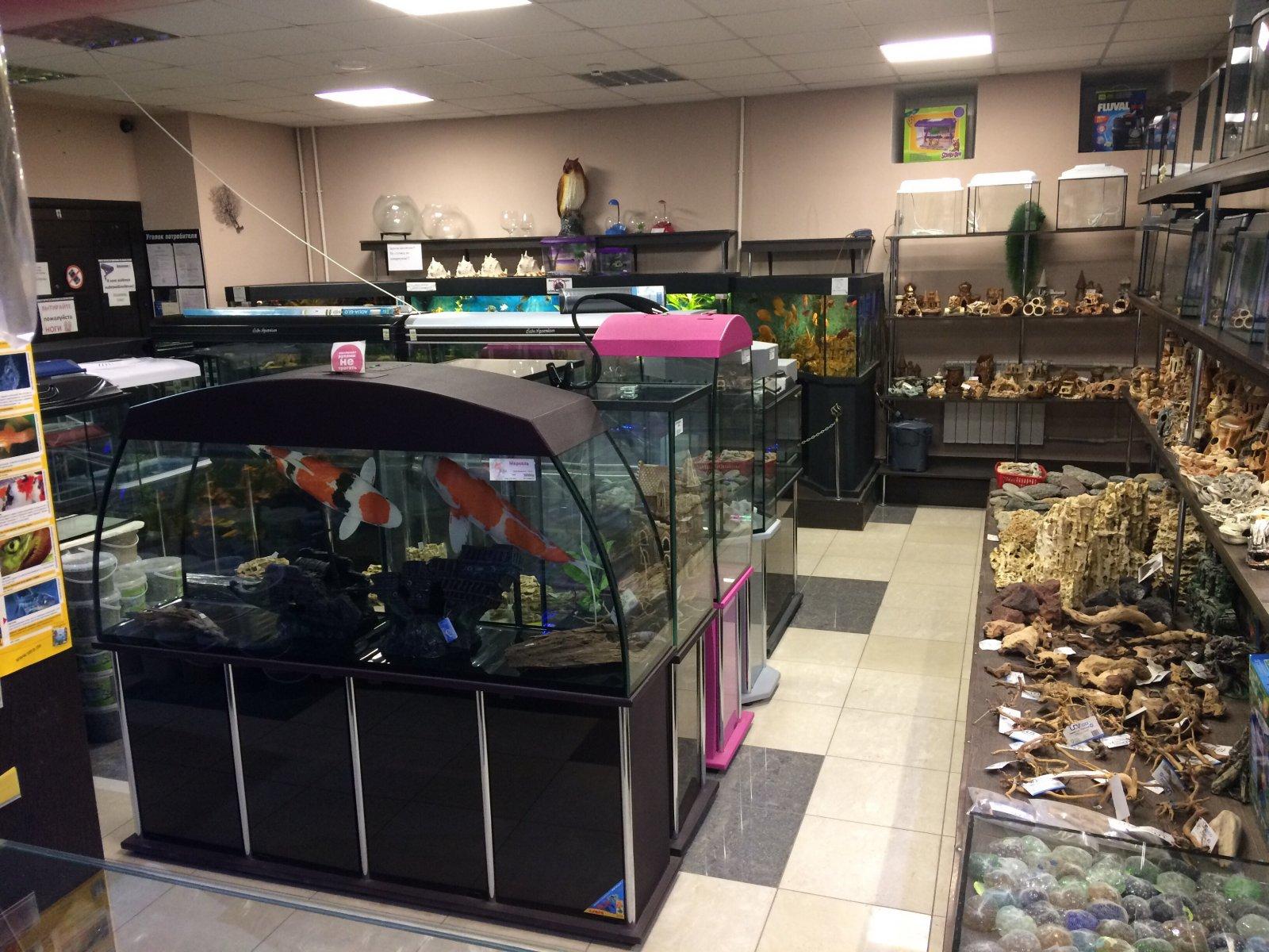Аквариумный мир ул кирова 12б фото Аквариумный мир ул кирова 12б фото